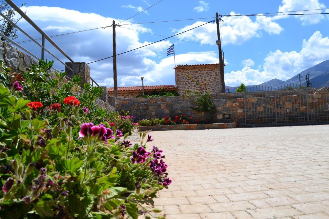 Asteri Apartments Malia Exterior foto